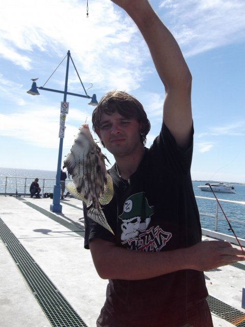 Tasselled Leatherjacket Tasselled Leatherjacket
